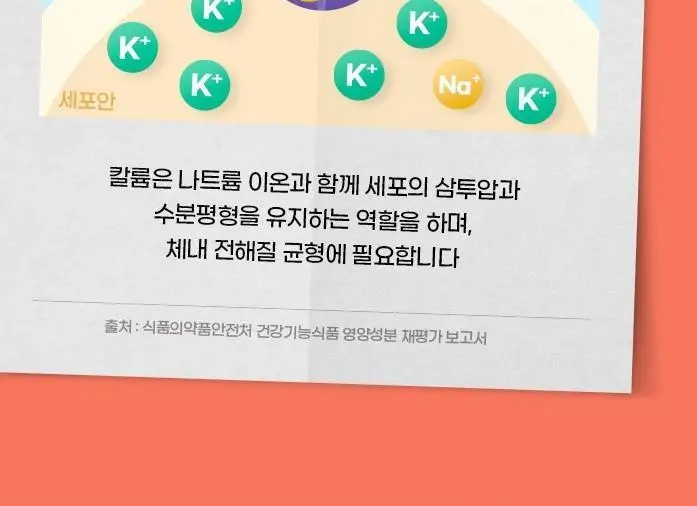 [저당/저칼로리] 솔티 피플즈 브이티 (14일분) 상세페이지 12
